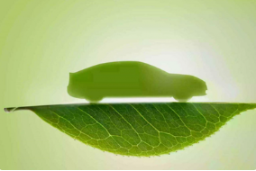 财政部大手笔！超135亿节能减排补助资金已下达